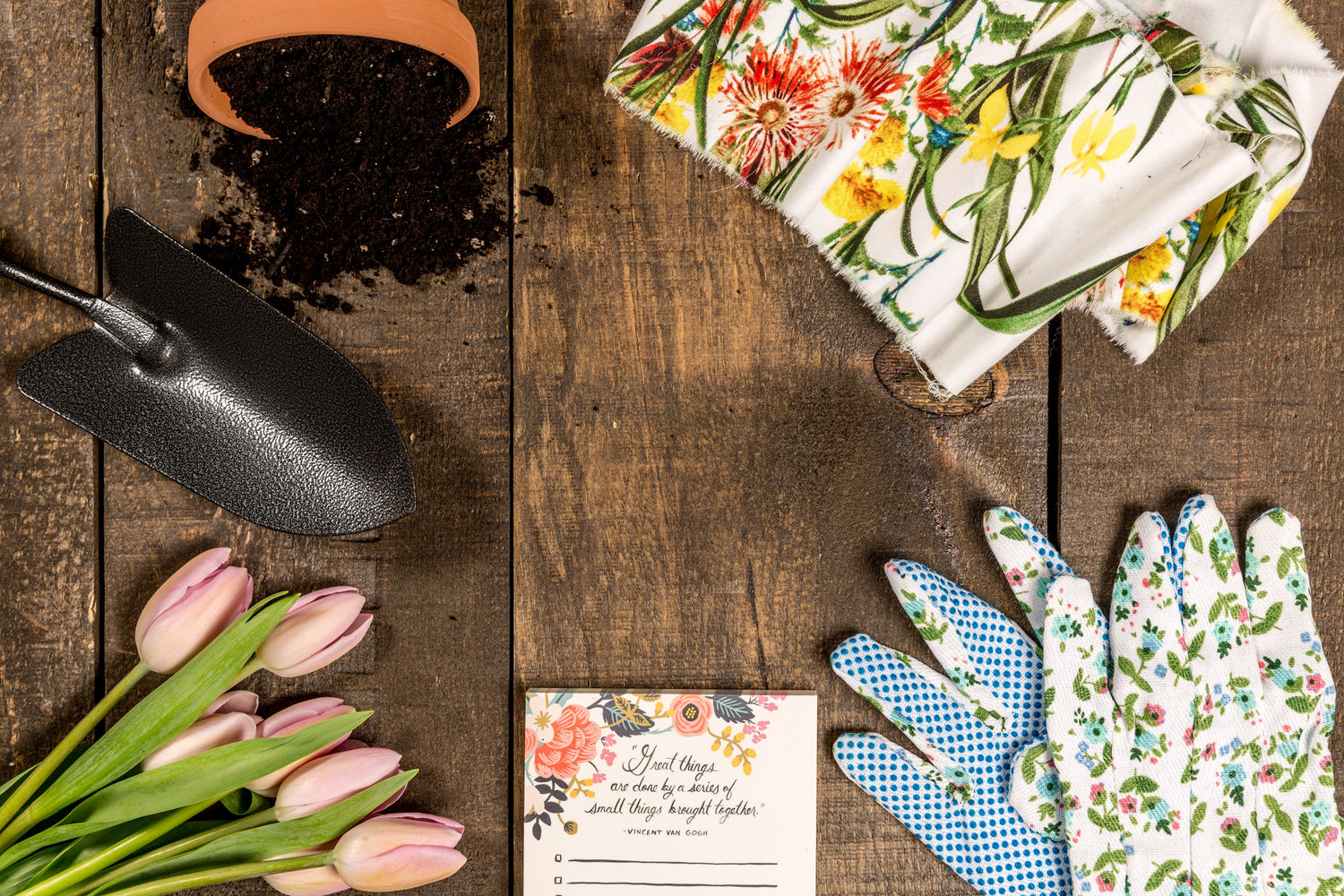 Plants & Decor