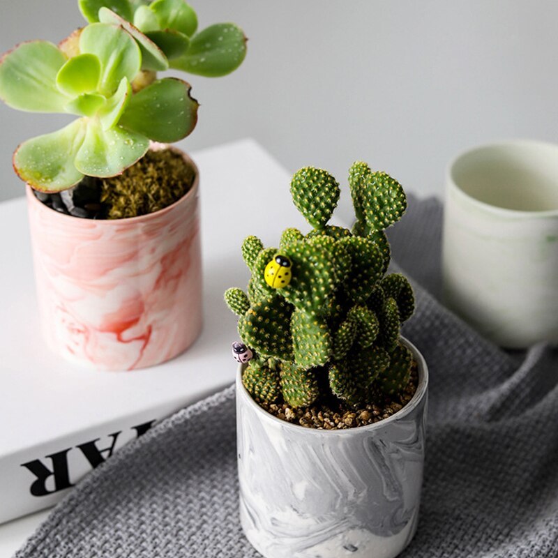 Modern Marbled Ceramic Plant Pot – Indoor Planter for Succulents & Flowers