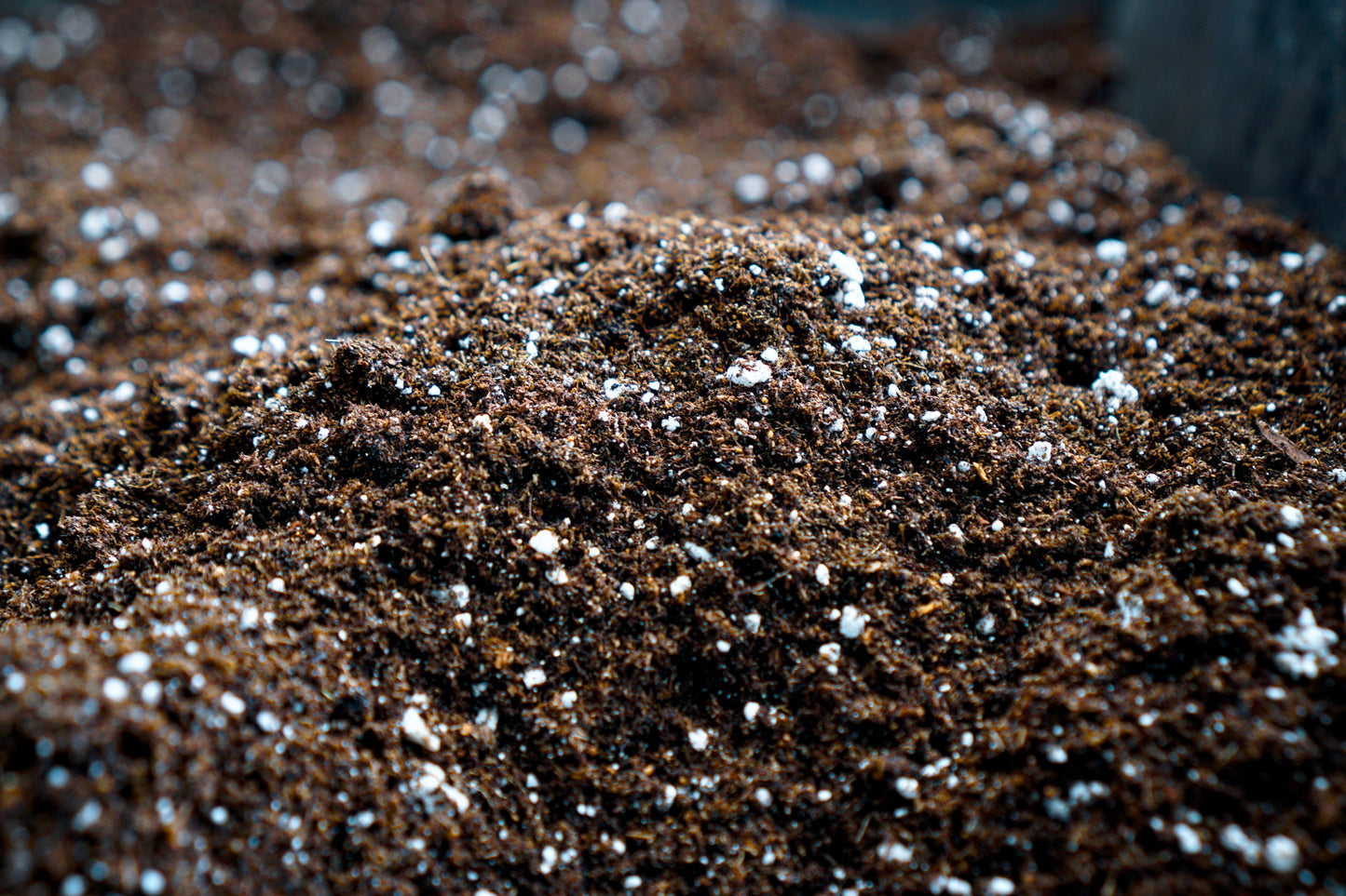 Seed Starter Potting Mix