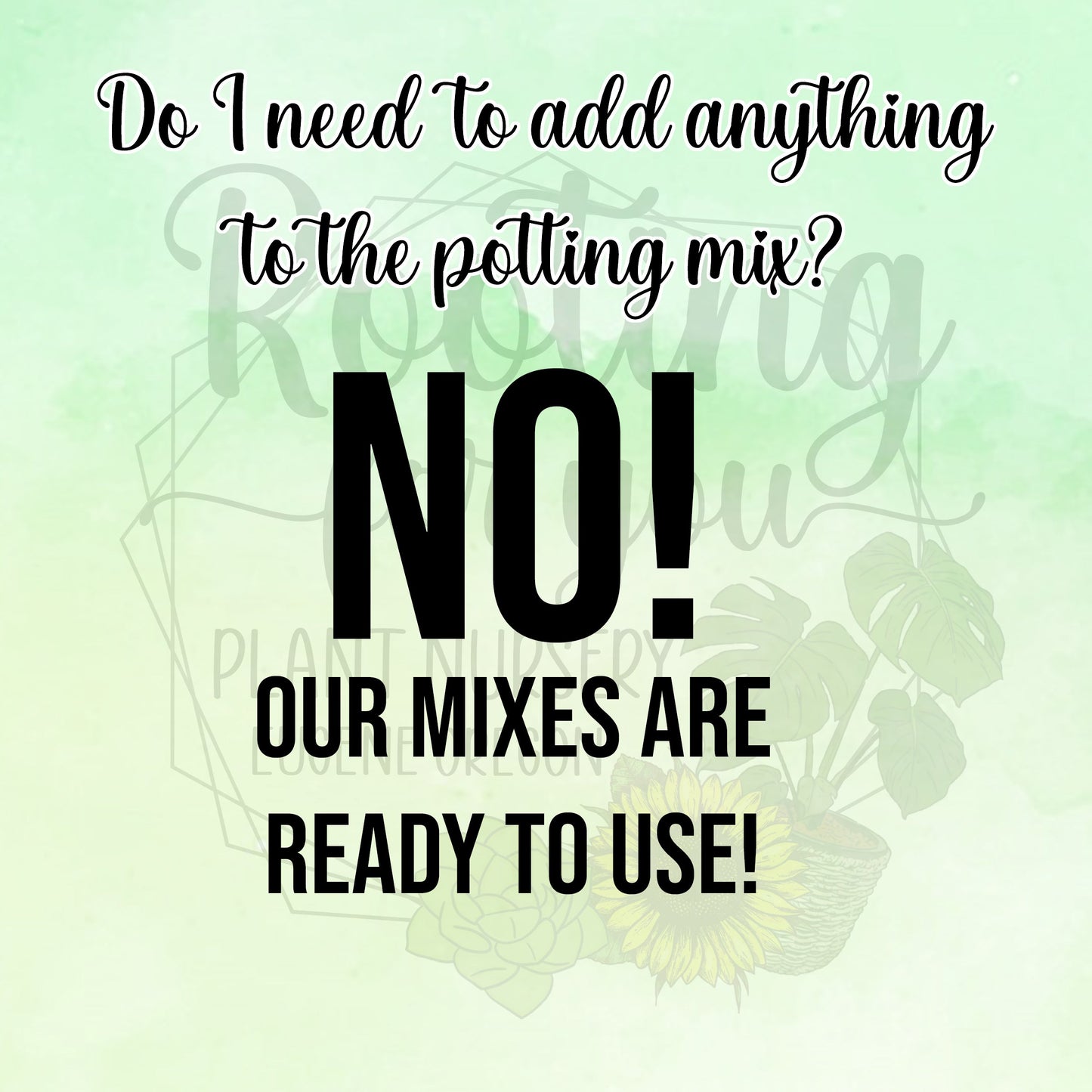 Premium Tropical Houseplant Potting Mix - General Purpose For Tropical Houseplants