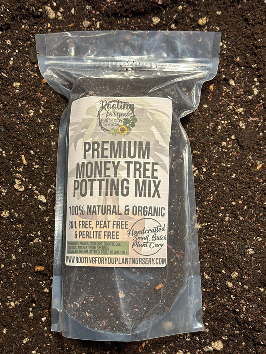 Money Tree Premium Potting Mix