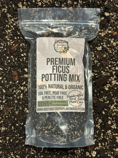 Ficus Premium Potting Mix