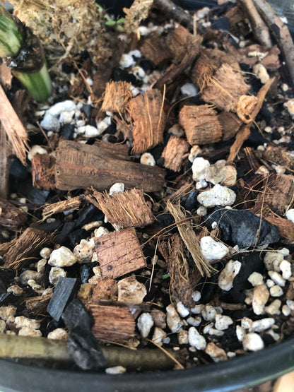 Premium Tropical Houseplant Potting Mix - General Purpose For Tropical Houseplants