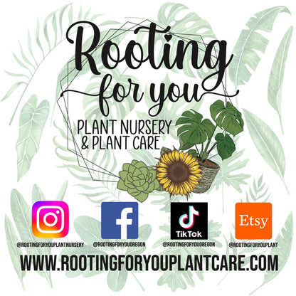 Fig Fruit Tree Premium Potting Mix