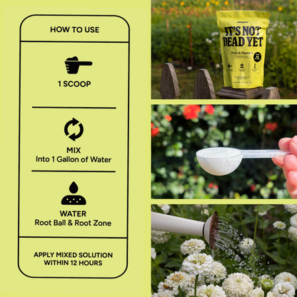 Pots & Planters