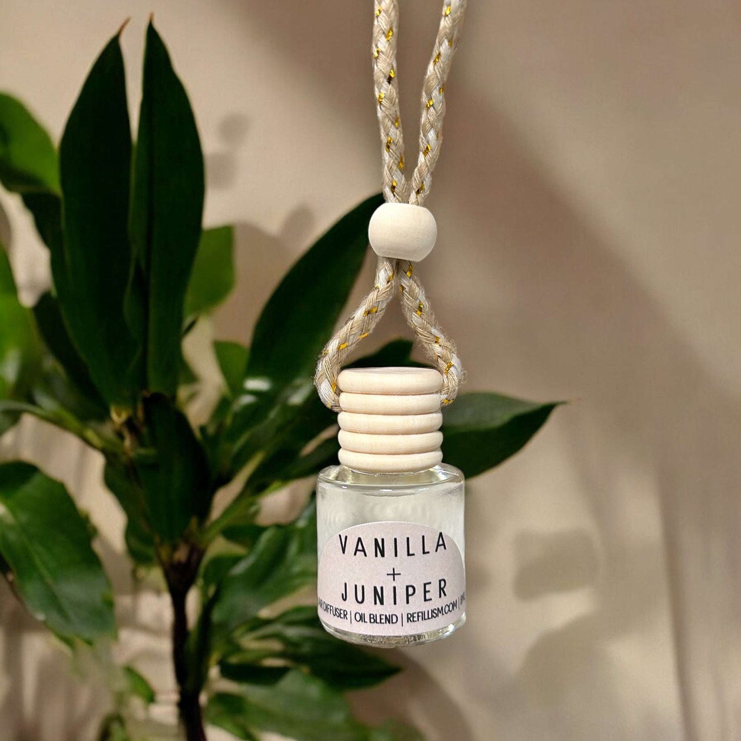 Air Freshener | Hanging Diffuser